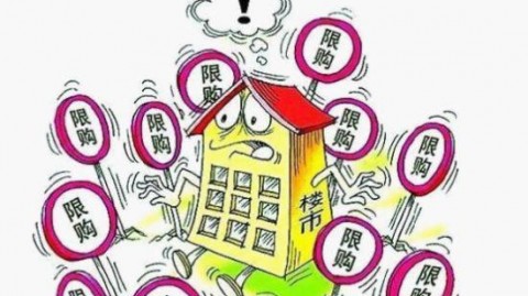 2026年AI碰一碰代理政策全解析：别再被割韭菜了，真正赚钱的只有这一种人！